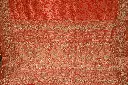 DSC_5602.webp