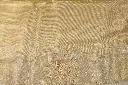DSC_5775.webp