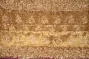 DSC_5568.webp