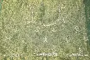 DSC_3949.webp