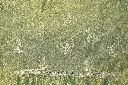 DSC_3950.webp