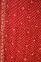 DSC_3705.webp