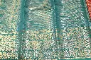 DSC_0682.webp
