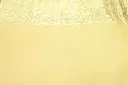 DSC_2676.webp