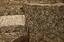 DSC_0439.webp