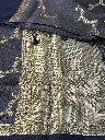 IMG_4307.webp