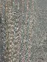 IMG_4374.webp