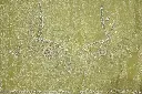 DSC_1474.webp