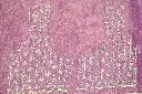 DSC_1588.webp