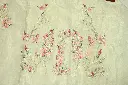 DSC_1693.webp