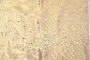 DSC_1829.webp
