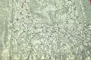 DSC_1934.webp