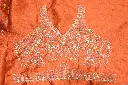 DSC_2199.webp