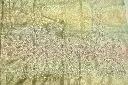DSC_2281.webp