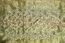 DSC_2282.webp