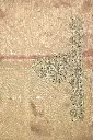 DSC_2342.webp