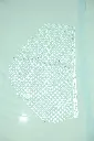 DSC_2360.webp
