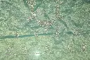 DSC_2549.webp