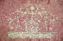 DSC_2701.webp