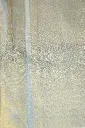 DSC_0249.webp