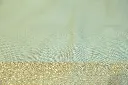DSC_0323.webp