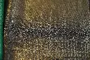 DSC_0834.webp