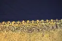 DSC_0857.webp