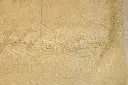 DSC_1199.webp