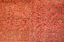DSC_1294.webp