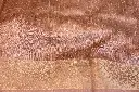 DSC_1332.webp