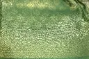 DSC_1944.webp