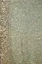 DSC_6463.webp