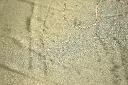 DSC_6435.webp