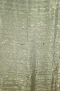 DSC_6672.webp