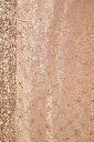 DSC_6725.webp