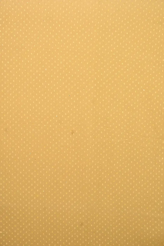 DSC_8670.webp