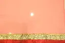 DSC_8658.webp