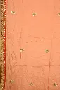 DSC_8635.webp
