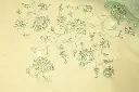 DSC_7017.webp