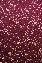 DSC_7271.webp