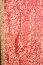DSC_7370.webp