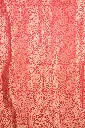 DSC_7369.webp