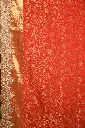DSC_7436.webp