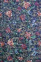DSC_7479.webp