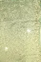 DSC_7555.webp