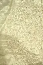 DSC_7657.webp