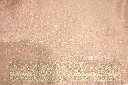 DSC_7724.webp