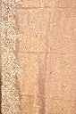 DSC_7754.webp