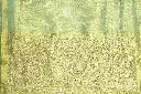 DSC_7806.webp