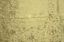DSC_7837.webp